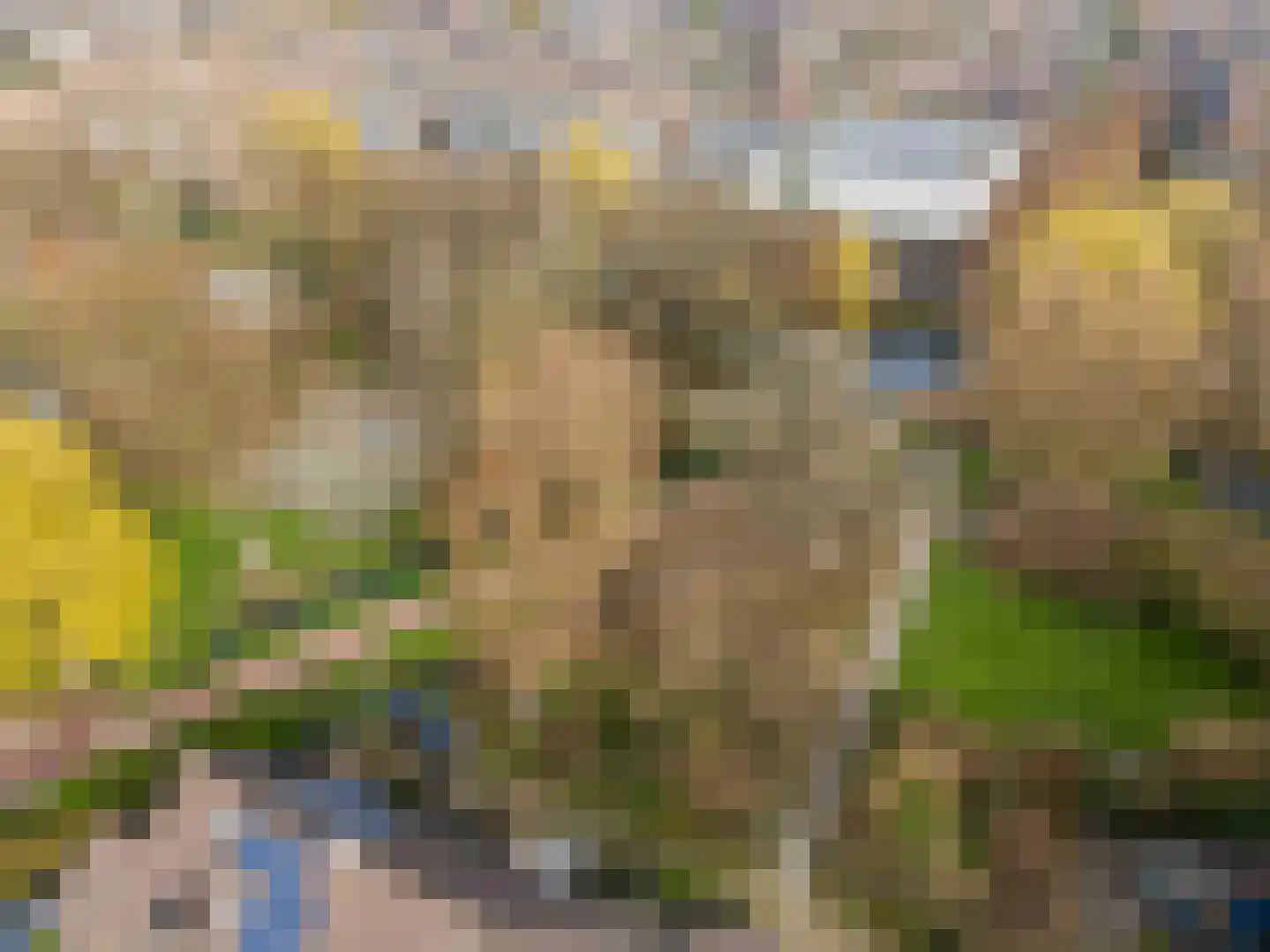 Lijster 1 Hoogvliet Rotterdam thumbnail 36