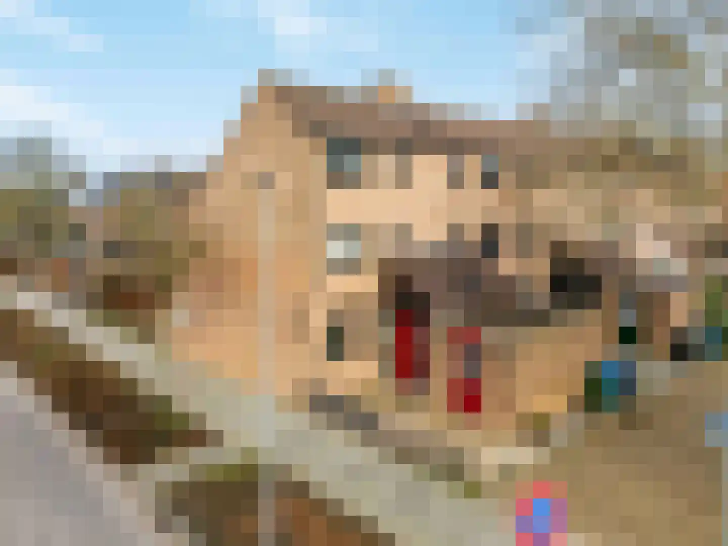 Lijster 1 Hoogvliet Rotterdam thumbnail 5