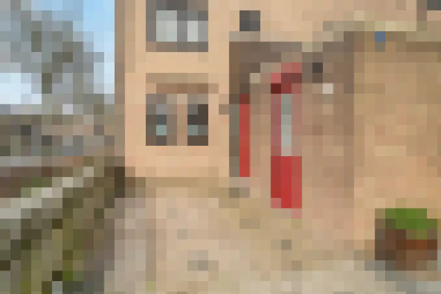 Lijster 1 Hoogvliet Rotterdam thumbnail 6