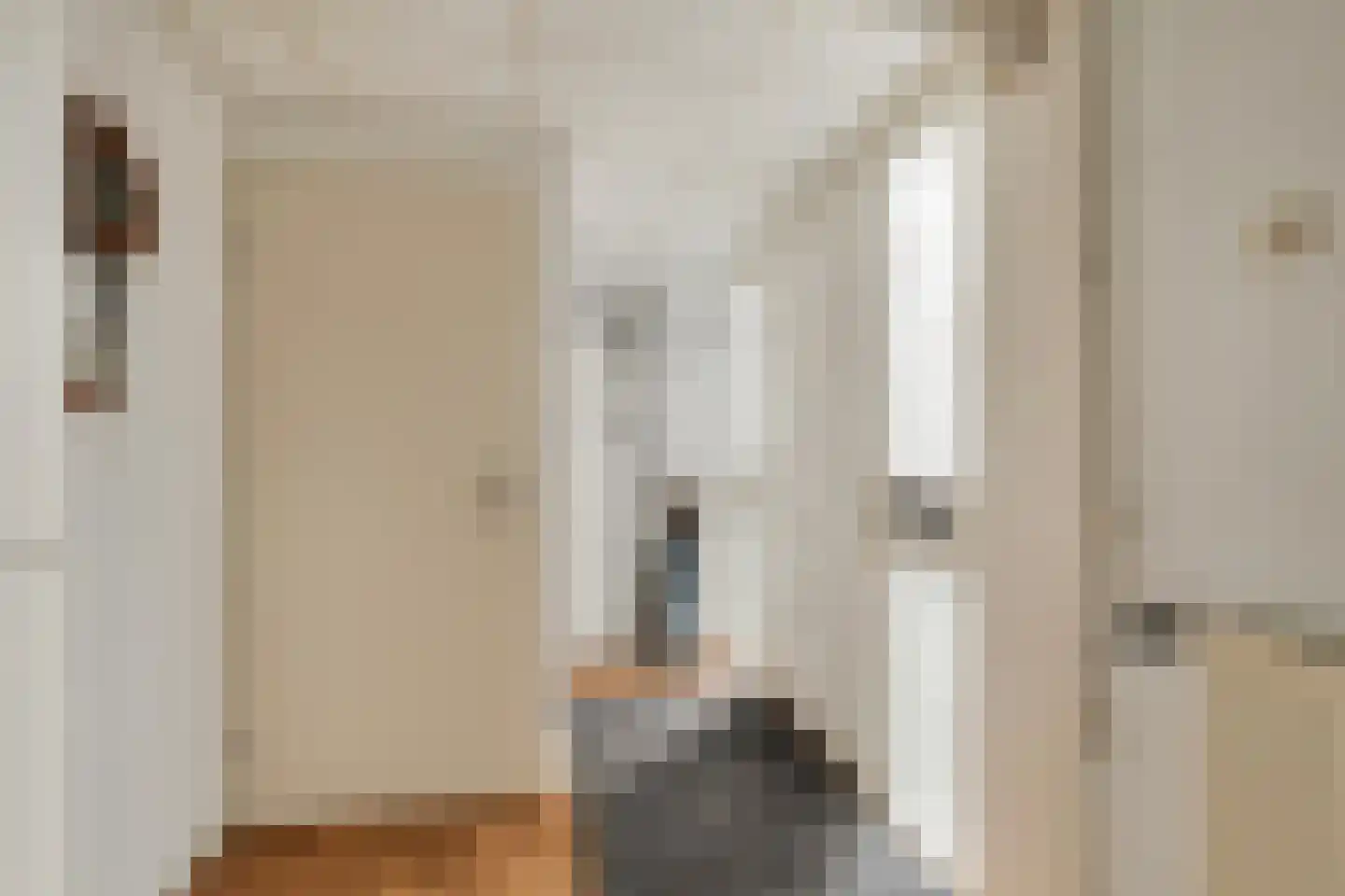 Lijster 1 Hoogvliet Rotterdam thumbnail 8