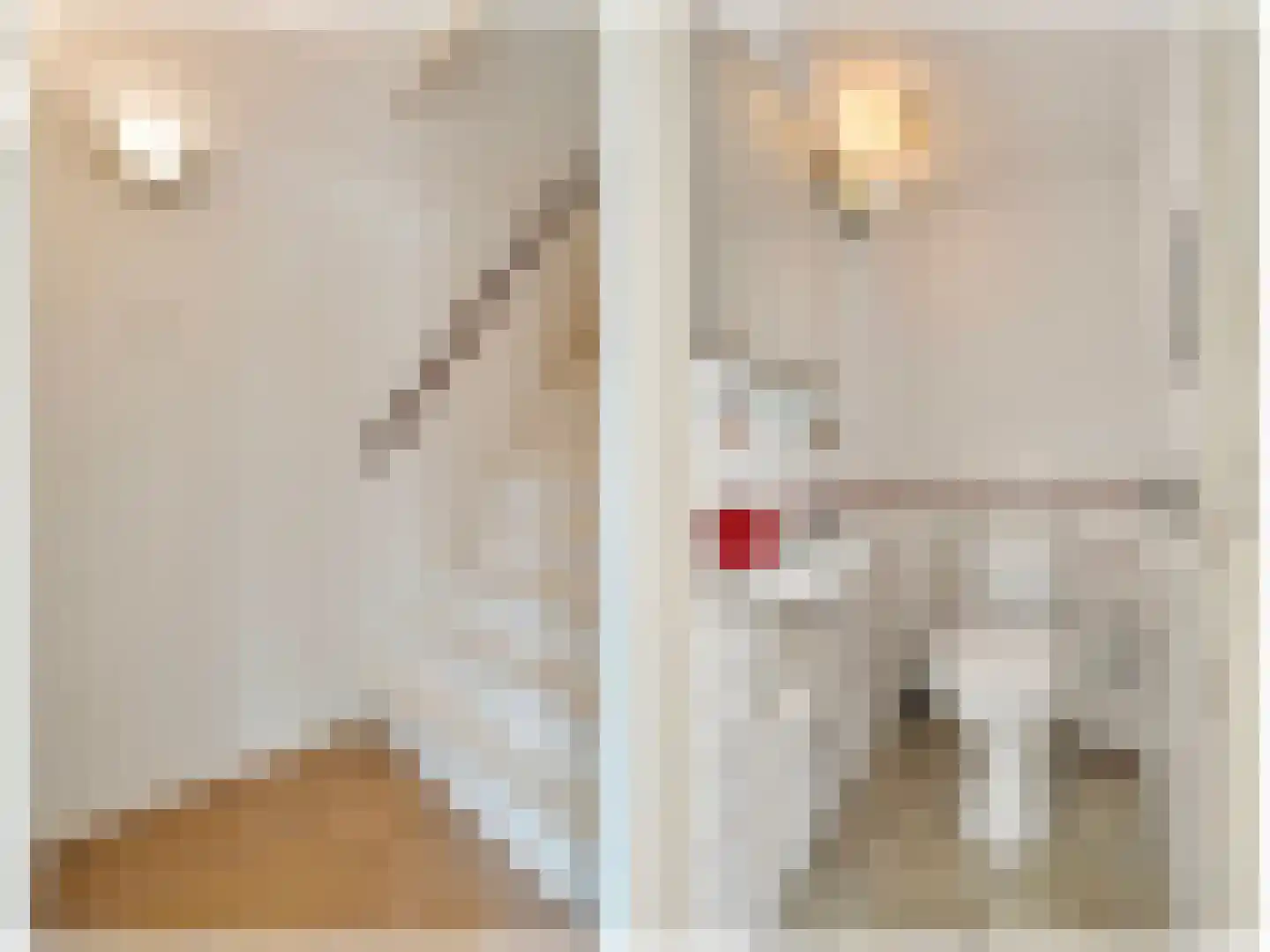 Lijster 1 Hoogvliet Rotterdam thumbnail 9