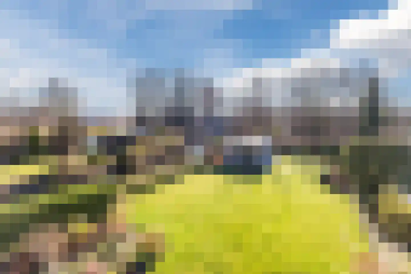 Lijster 10 Zuid-Scharwoude thumbnail 10