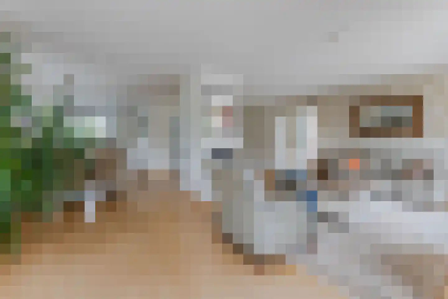 Lijster 10 Zuid-Scharwoude thumbnail 10