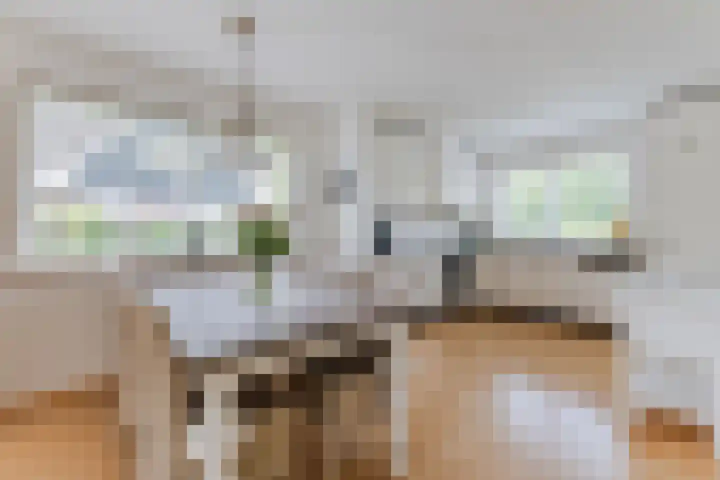 Lijster 10 Zuid-Scharwoude thumbnail 11