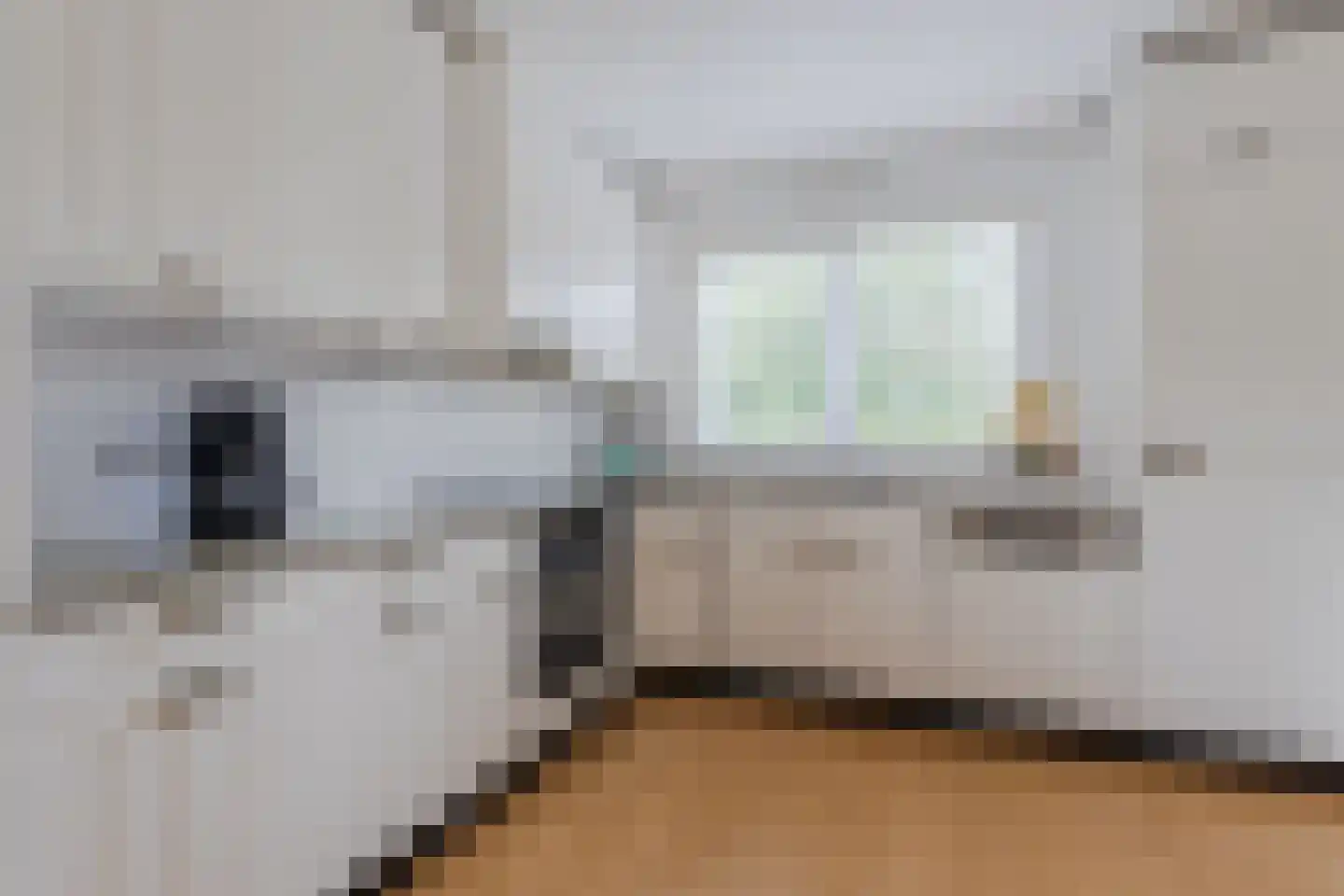 Lijster 10 Zuid-Scharwoude thumbnail 12