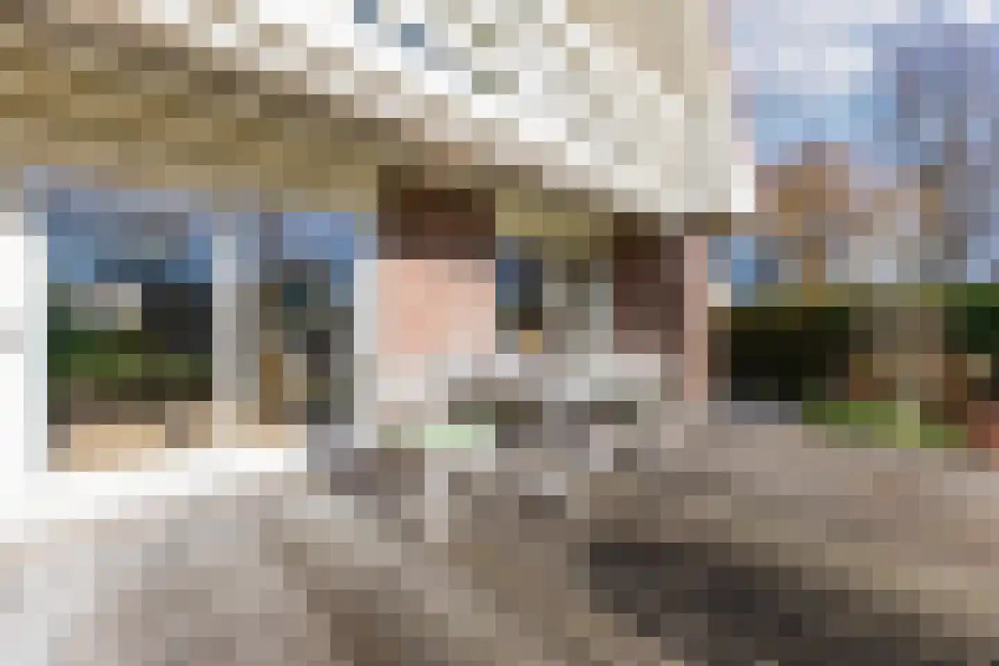 Lijster 10 Zuid-Scharwoude thumbnail 12