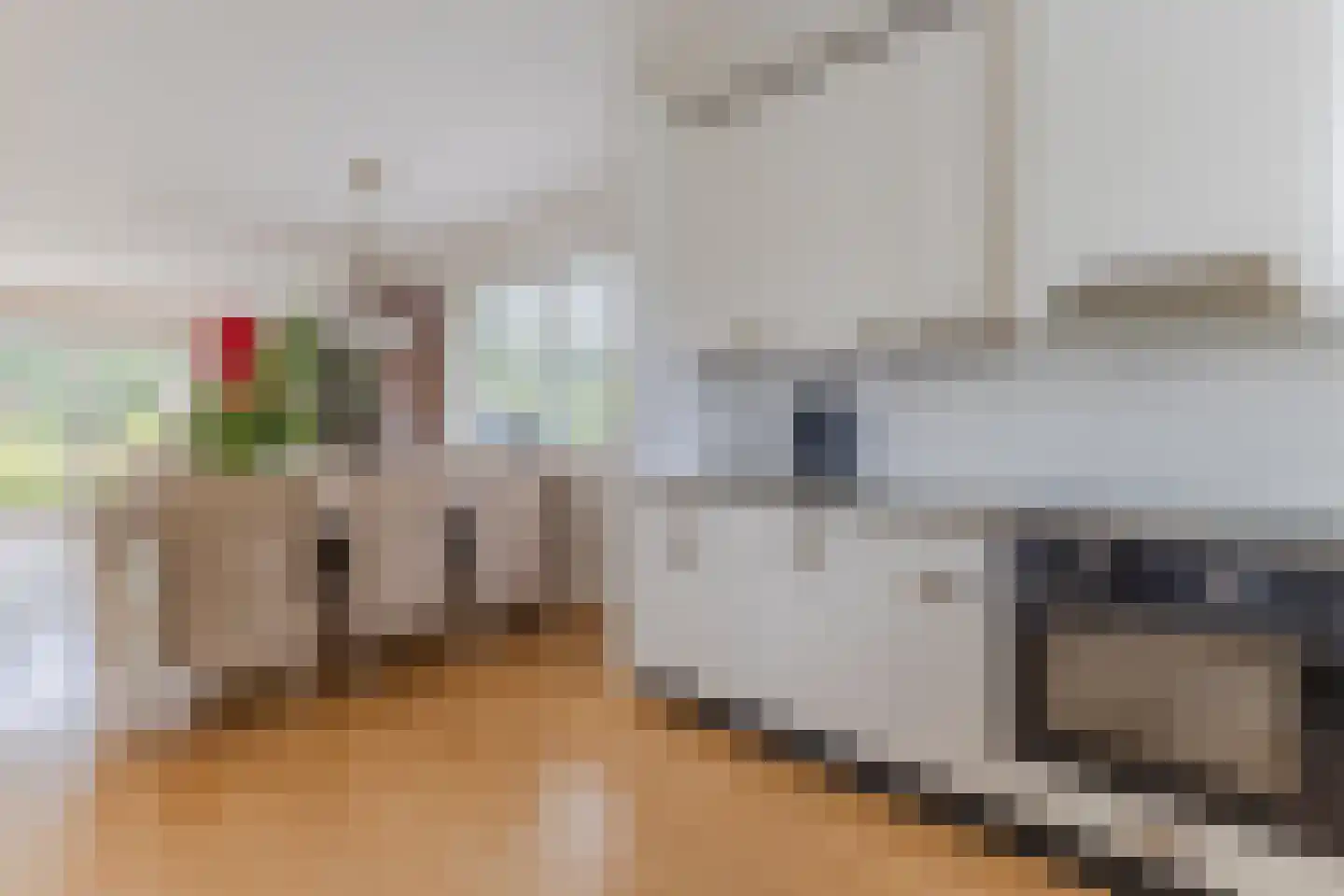 Lijster 10 Zuid-Scharwoude thumbnail 13