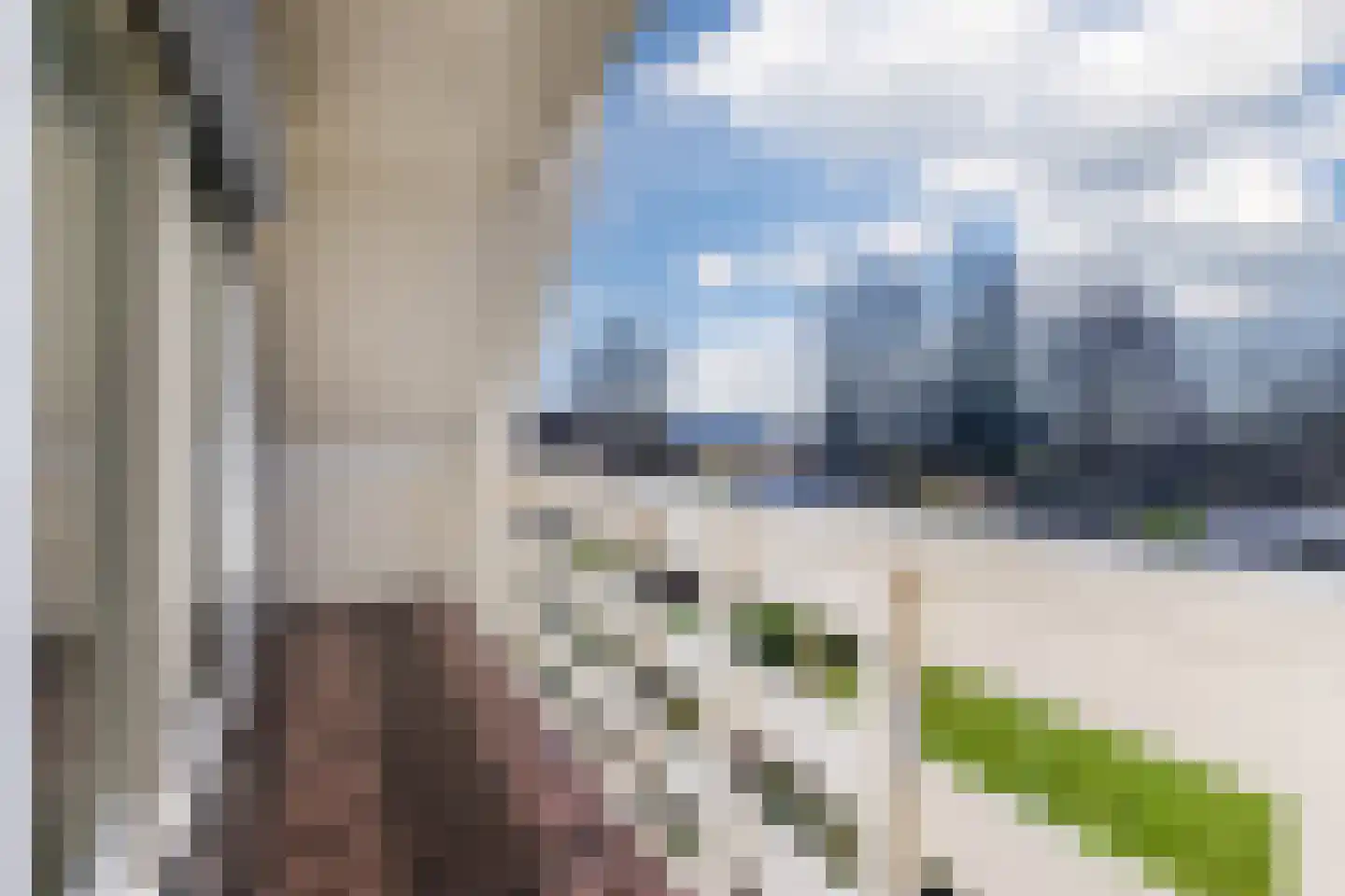 Lijster 10 Zuid-Scharwoude thumbnail 13