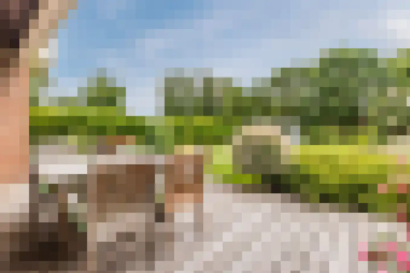 Lijster 10 Zuid-Scharwoude thumbnail 15