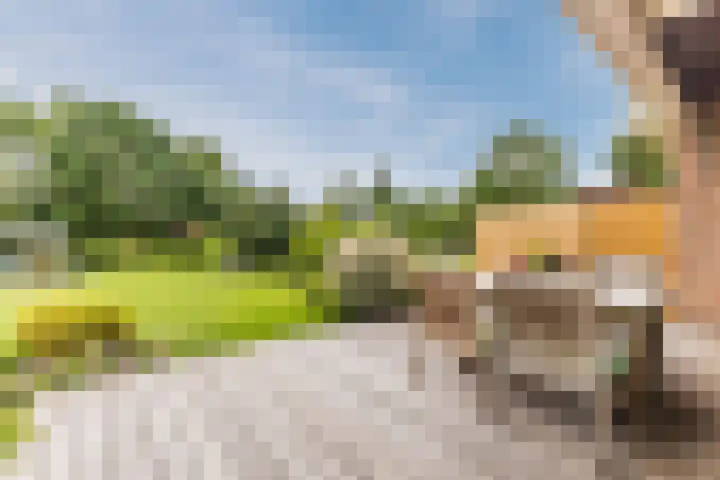 Lijster 10 Zuid-Scharwoude thumbnail 16