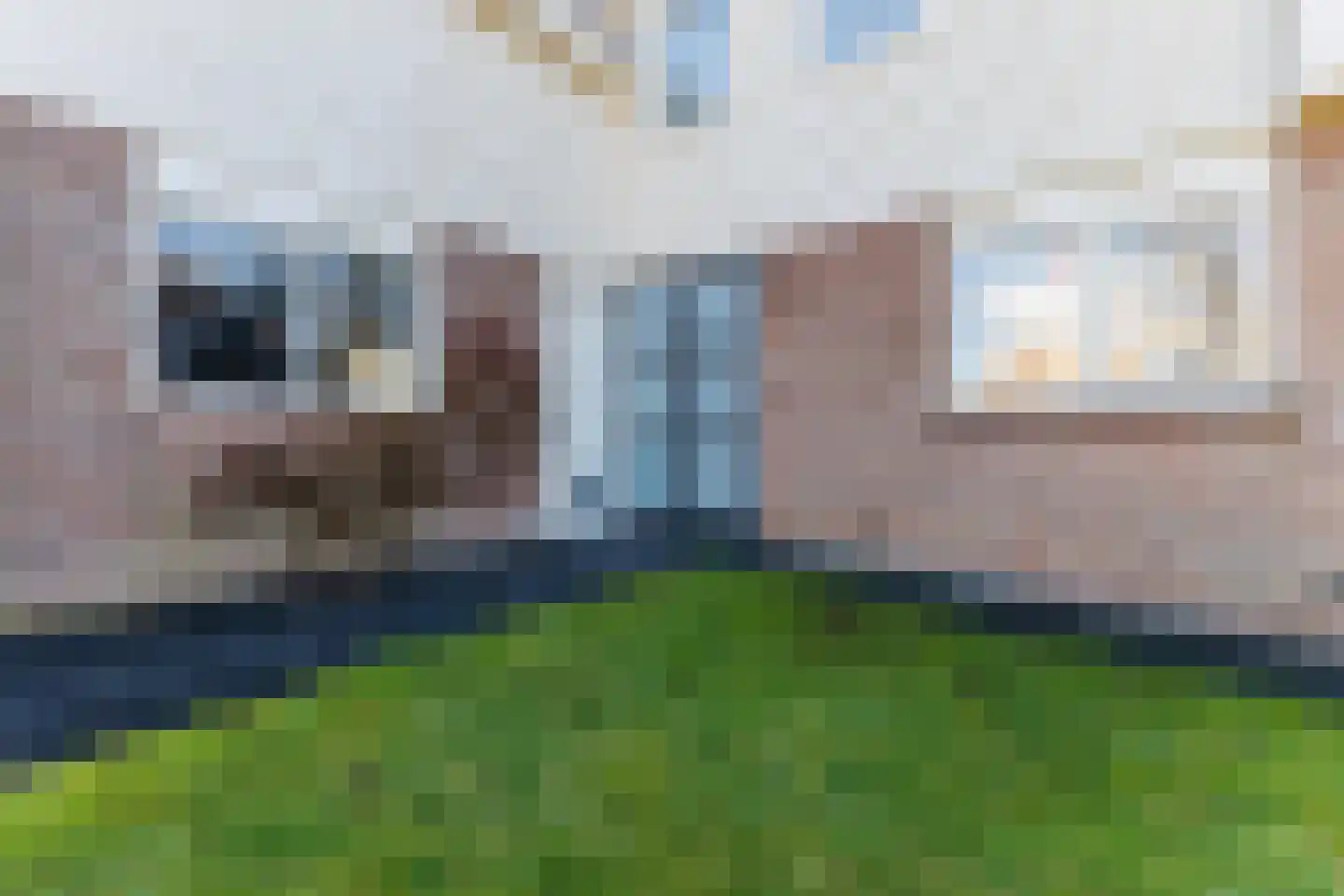 Lijster 10 Zuid-Scharwoude thumbnail 17