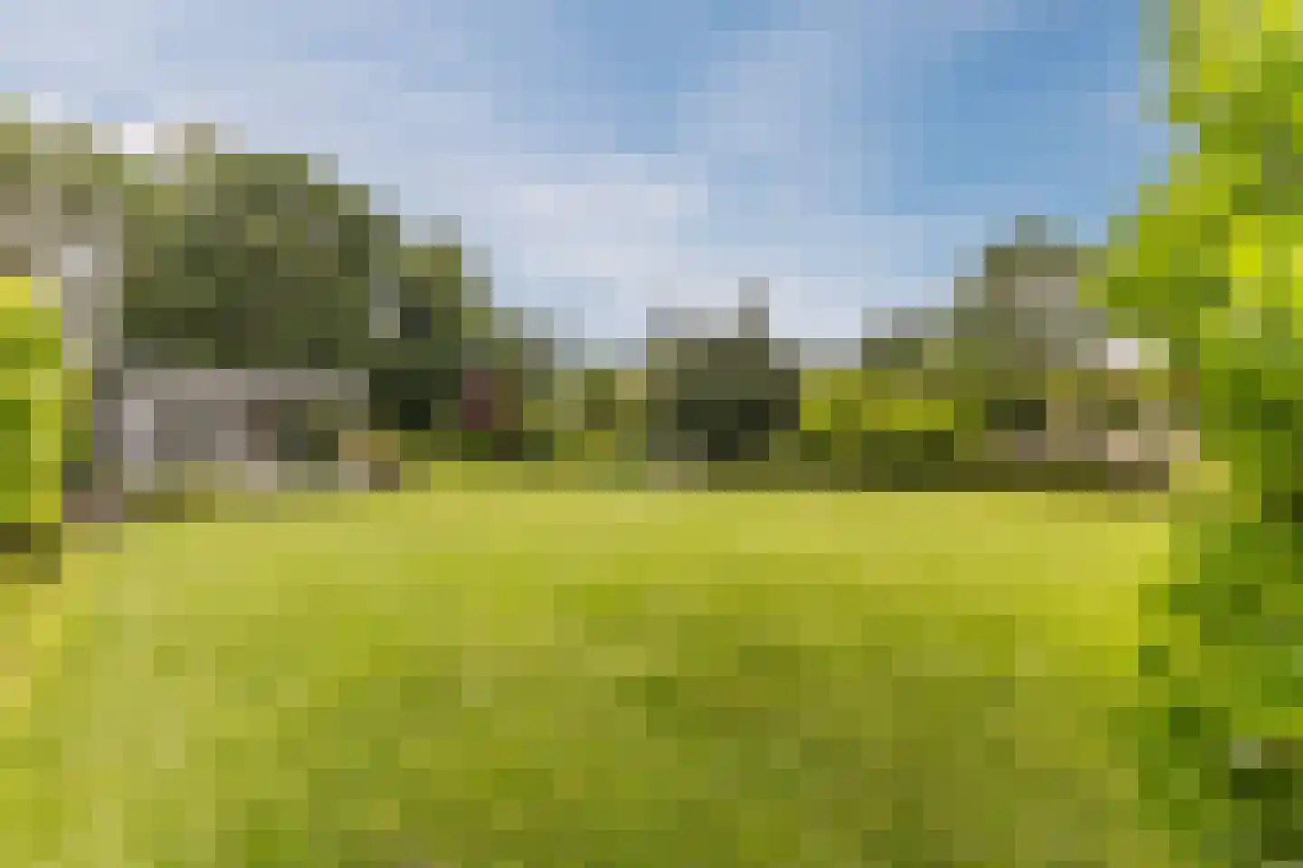 Lijster 10 Zuid-Scharwoude thumbnail 17