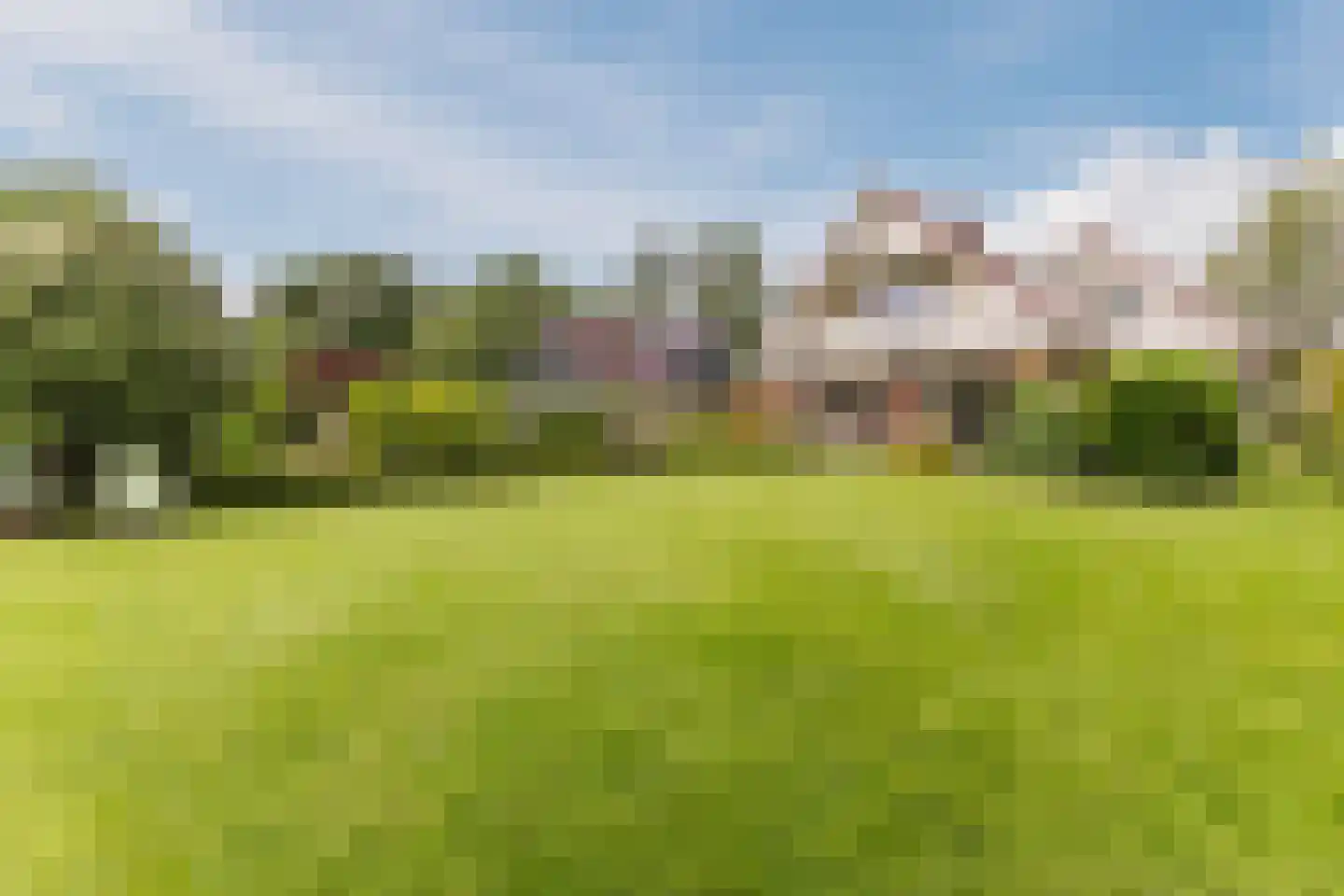 Lijster 10 Zuid-Scharwoude thumbnail 18