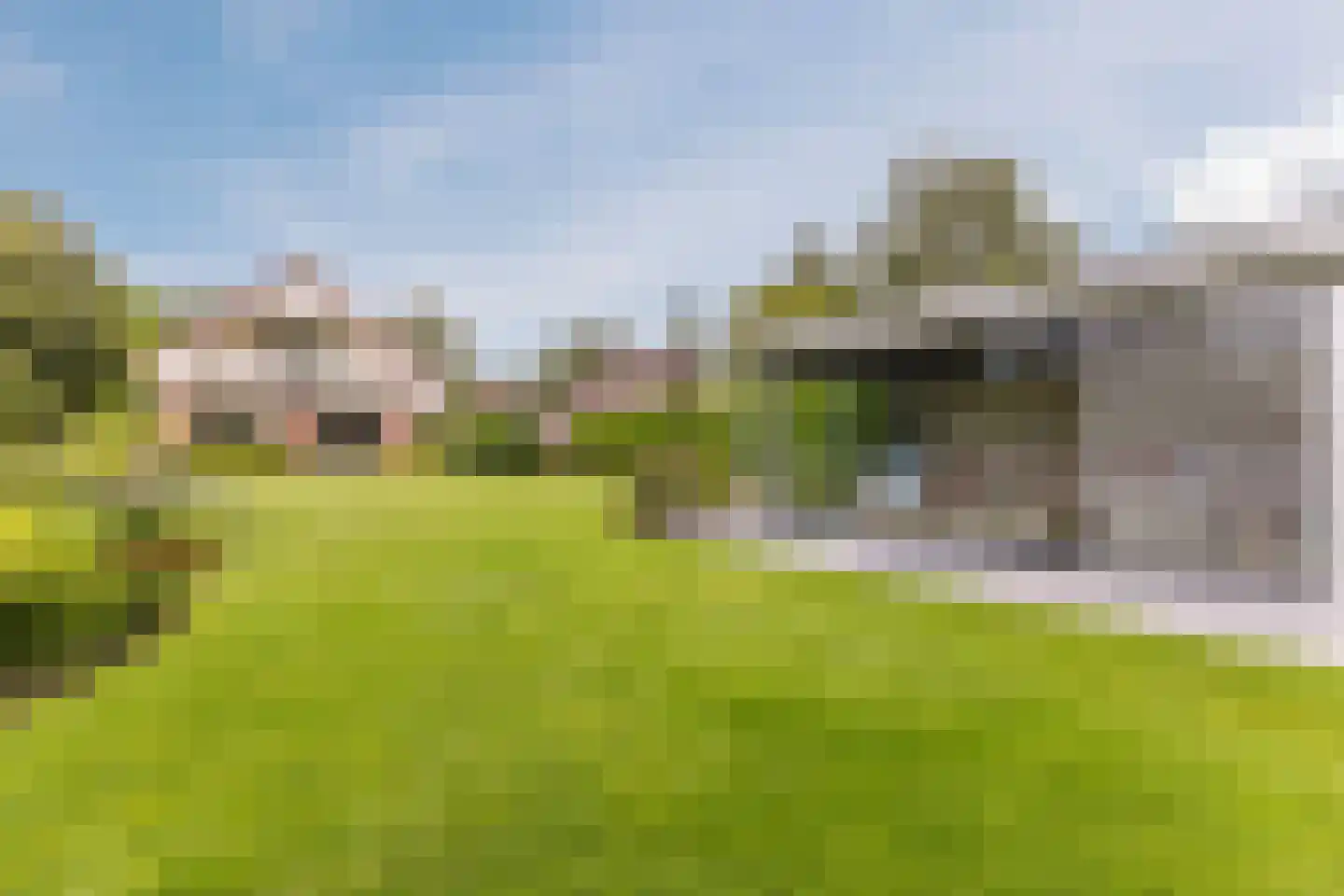 Lijster 10 Zuid-Scharwoude thumbnail 19