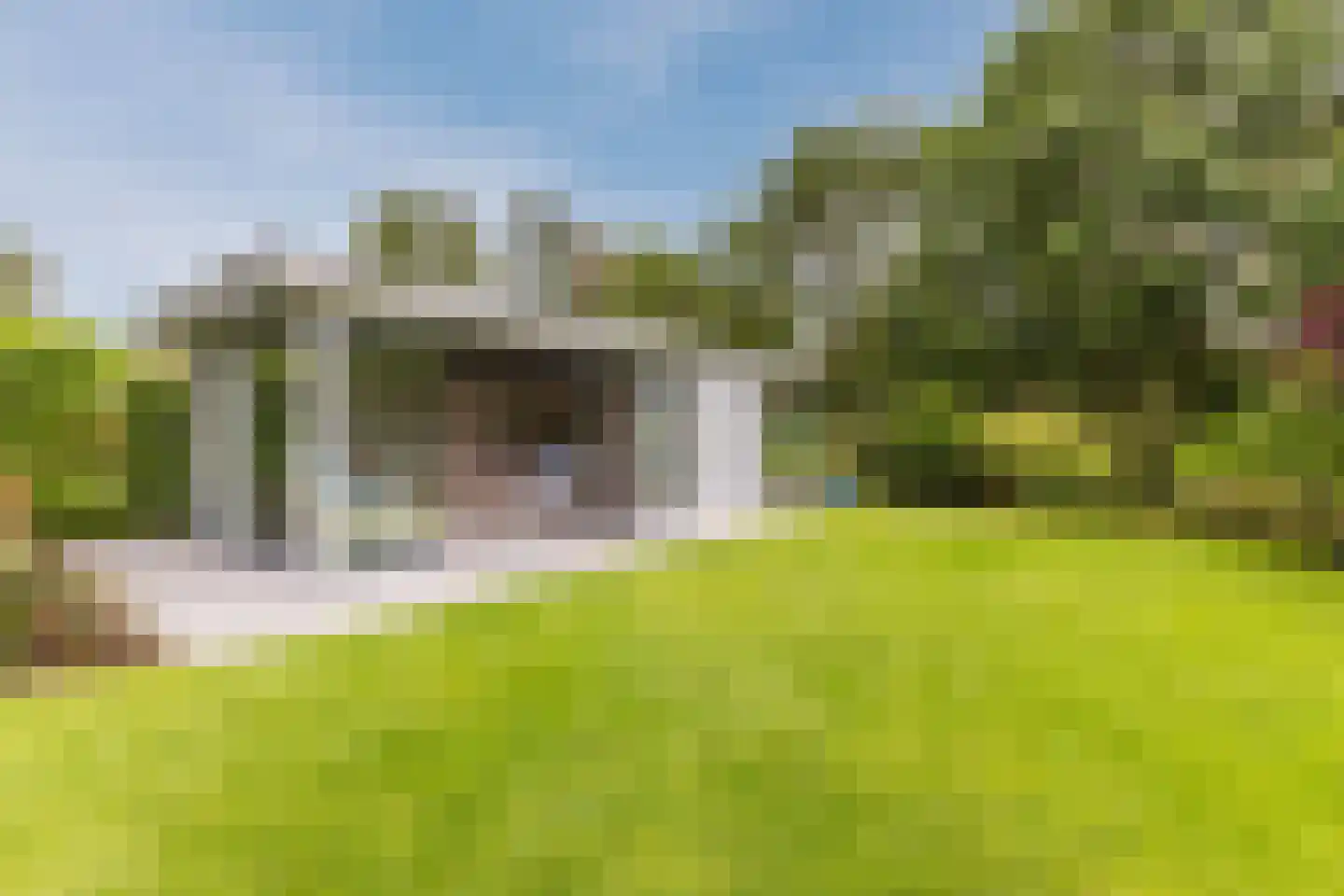 Lijster 10 Zuid-Scharwoude thumbnail 20