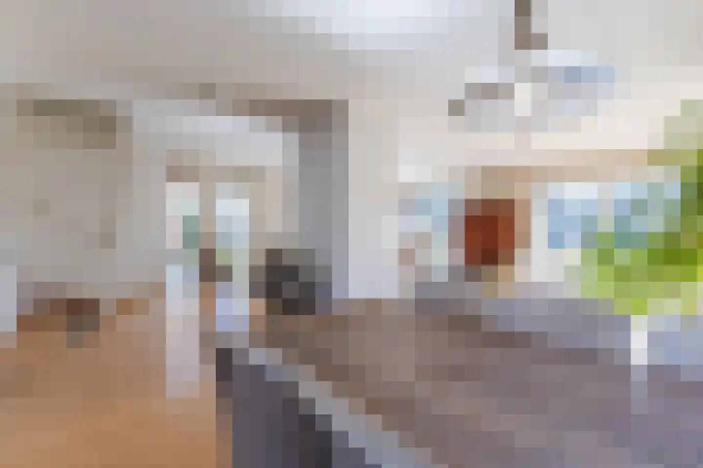 Lijster 10 Zuid-Scharwoude thumbnail 20