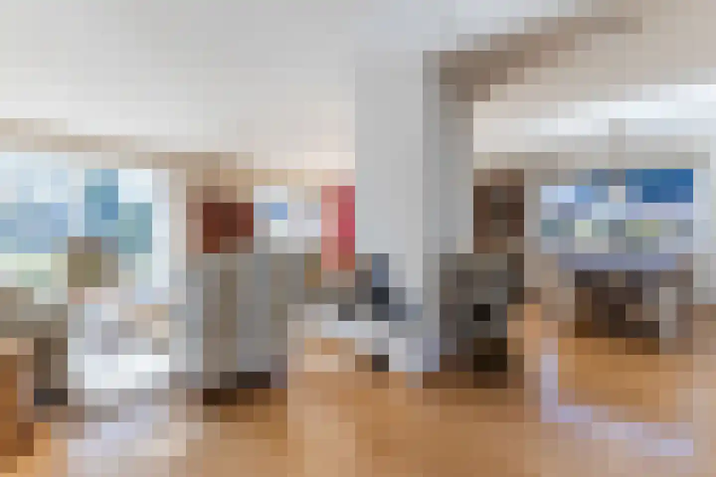 Lijster 10 Zuid-Scharwoude thumbnail 21