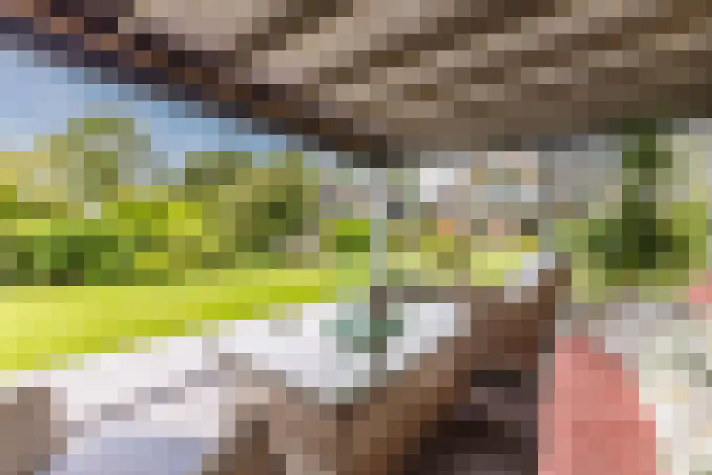 Lijster 10 Zuid-Scharwoude thumbnail 21