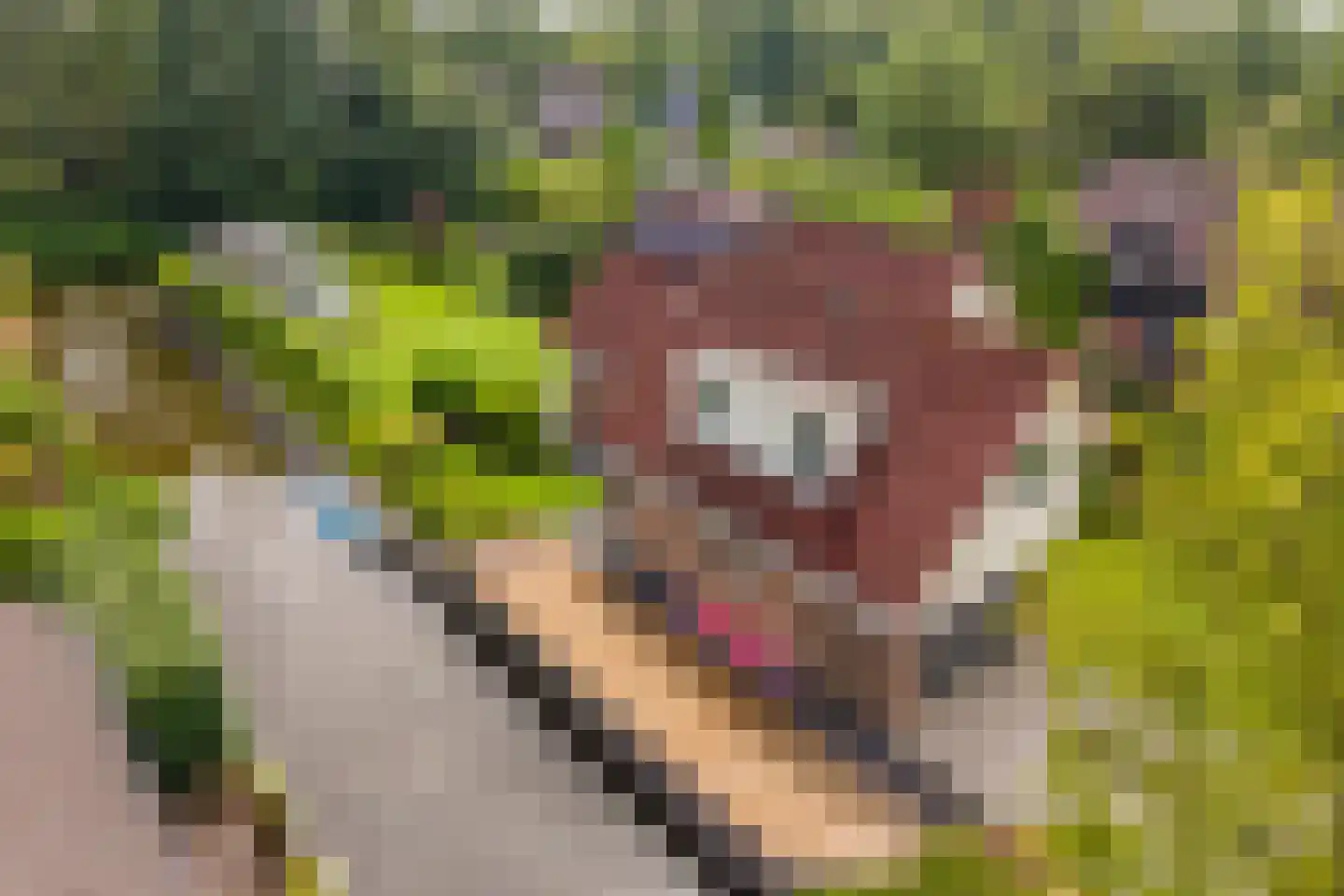 Lijster 10 Zuid-Scharwoude thumbnail 23