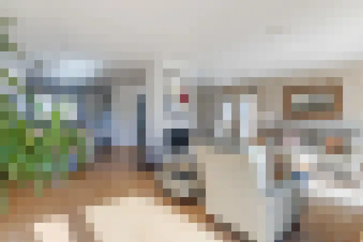 Lijster 10 Zuid-Scharwoude thumbnail 23