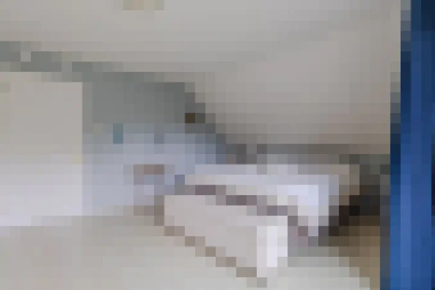 Lijster 10 Zuid-Scharwoude thumbnail 25