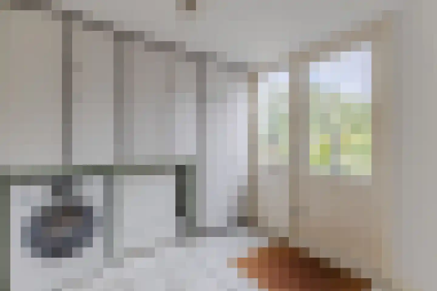 Lijster 10 Zuid-Scharwoude thumbnail 25