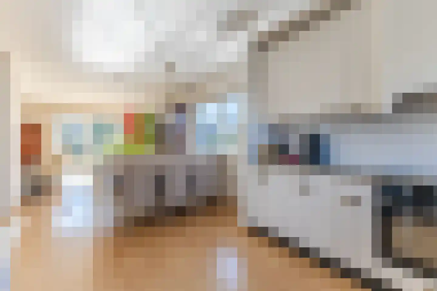 Lijster 10 Zuid-Scharwoude thumbnail 26