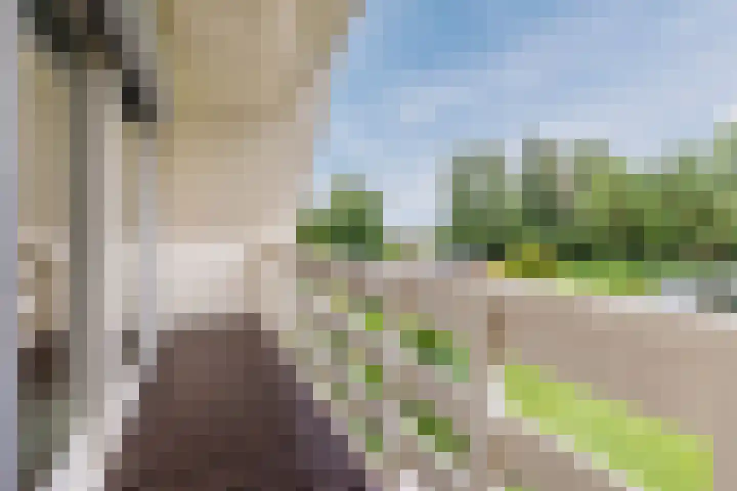 Lijster 10 Zuid-Scharwoude thumbnail 28