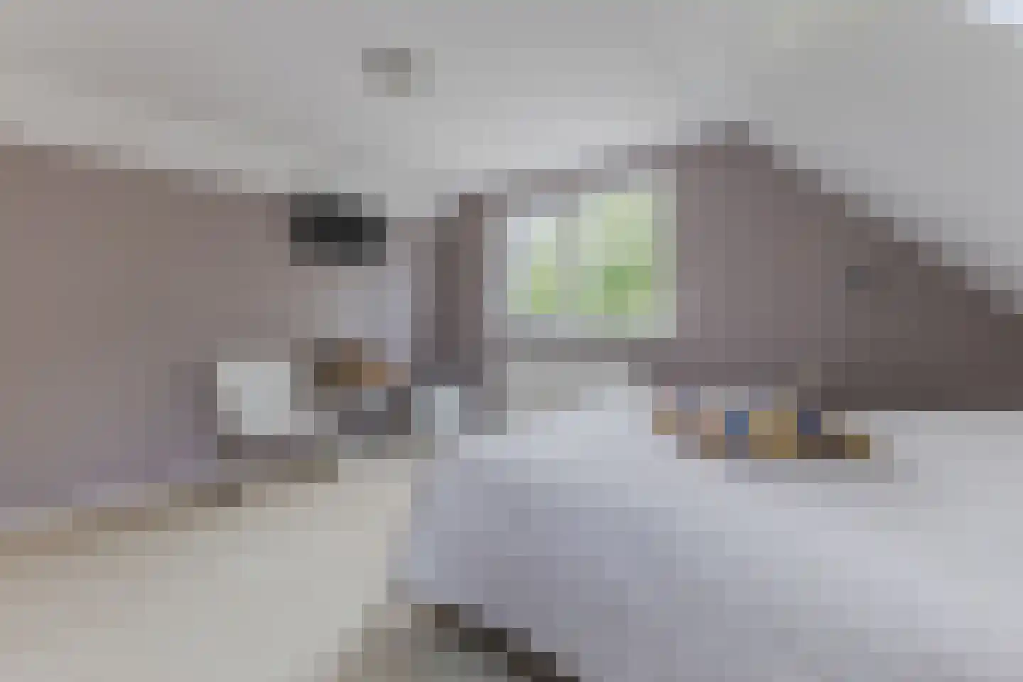 Lijster 10 Zuid-Scharwoude thumbnail 28