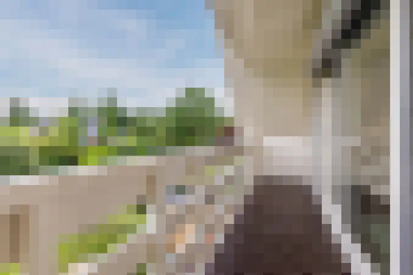 Lijster 10 Zuid-Scharwoude thumbnail 29