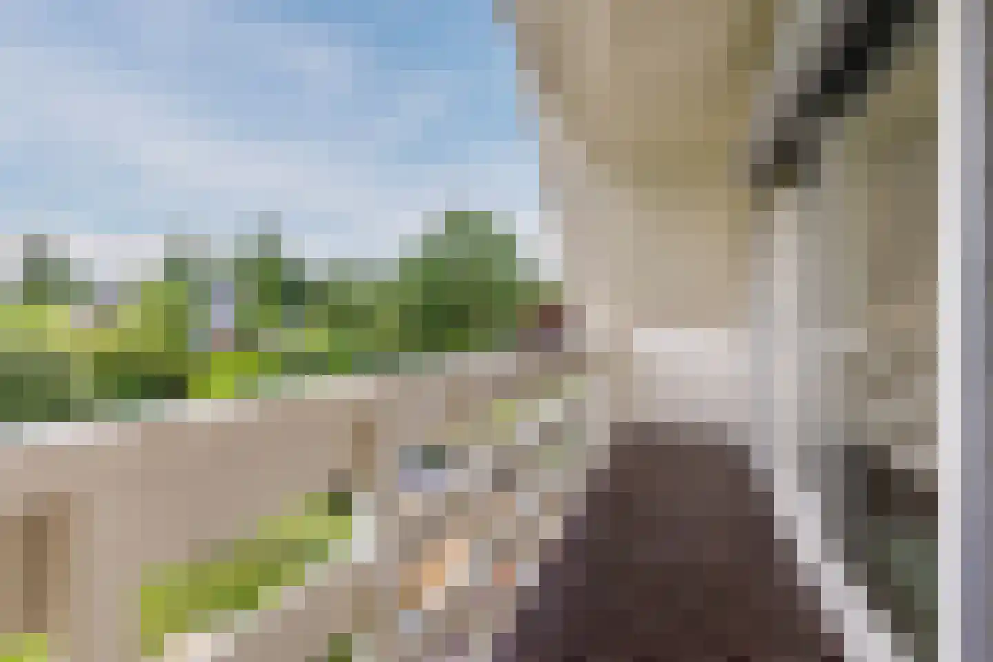 Lijster 10 Zuid-Scharwoude thumbnail 30