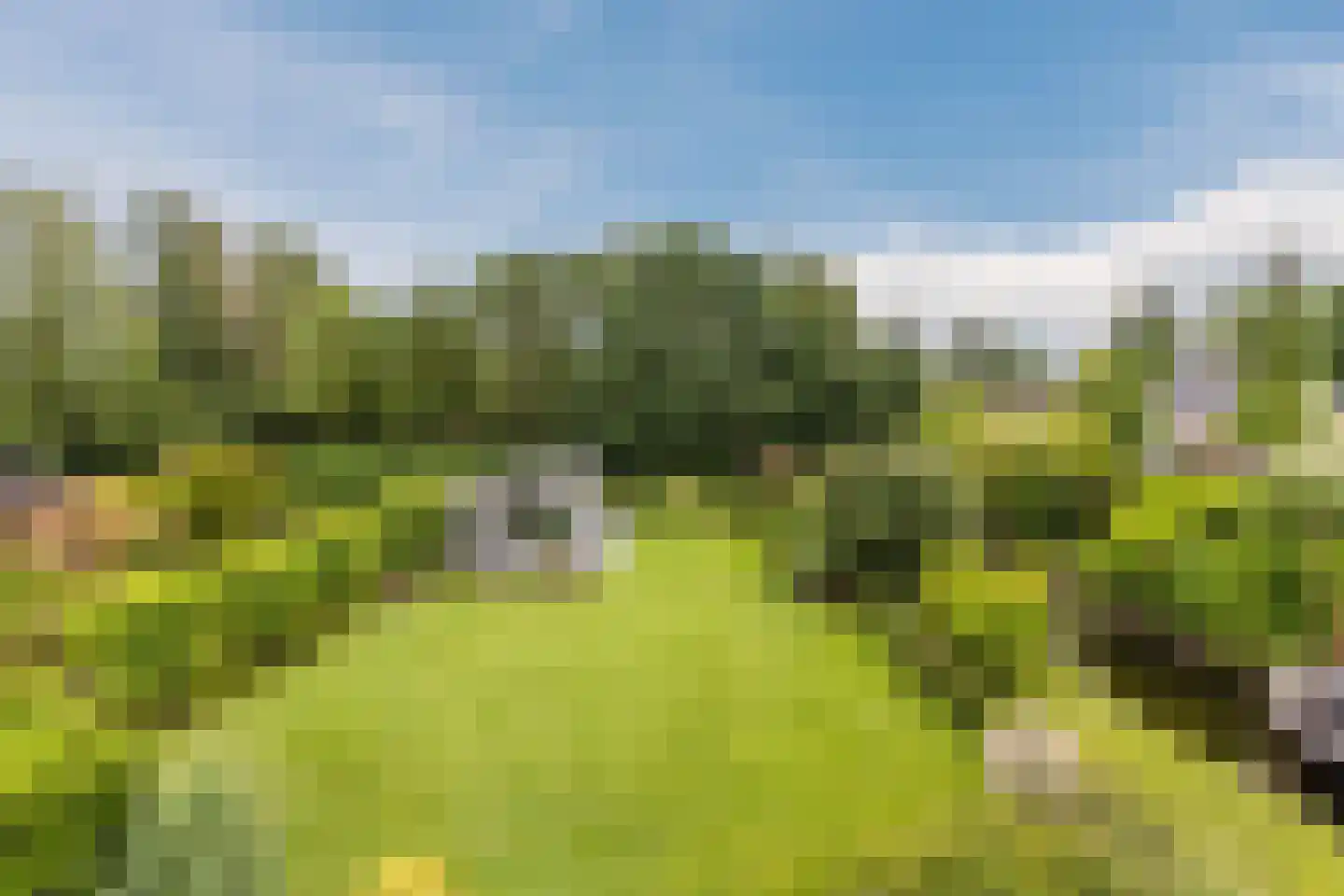 Lijster 10 Zuid-Scharwoude thumbnail 30