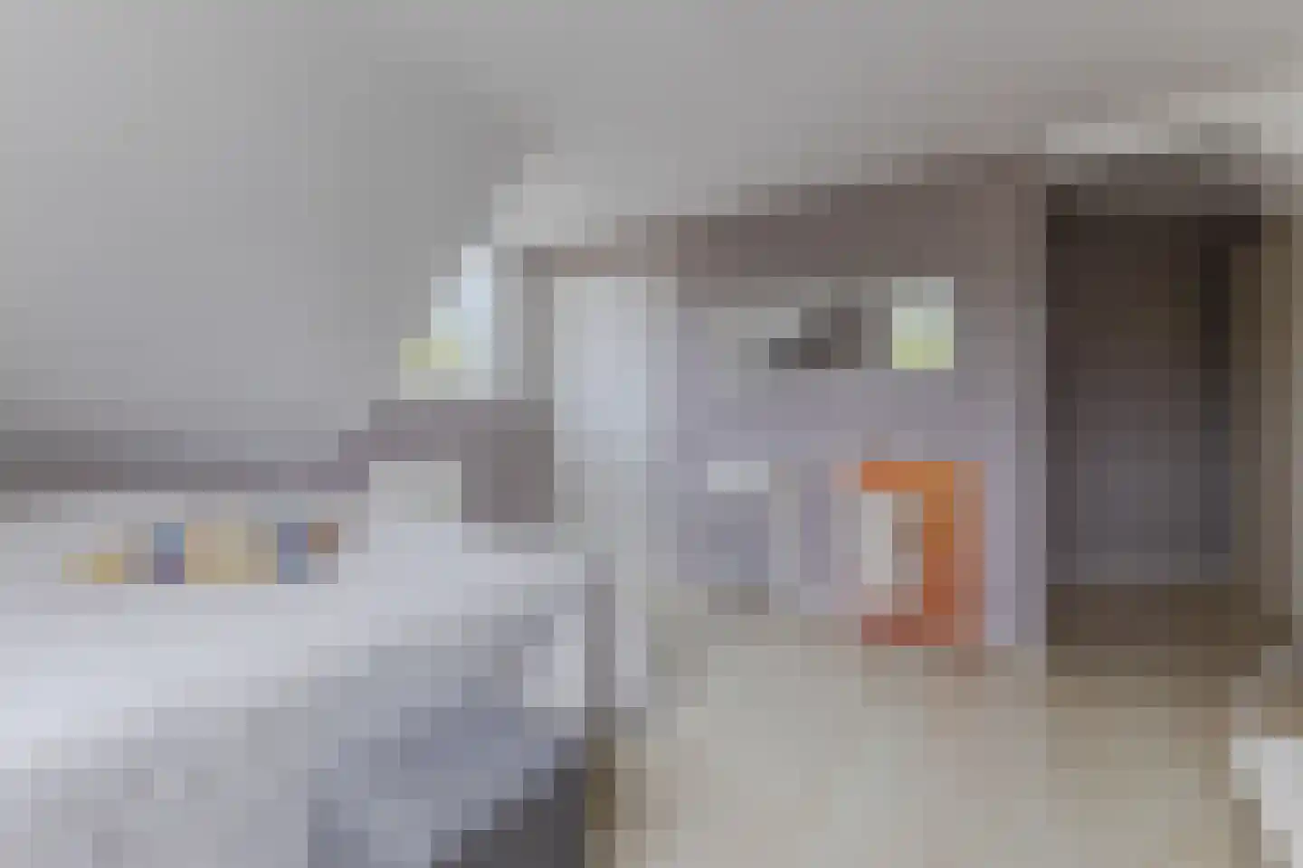 Lijster 10 Zuid-Scharwoude thumbnail 33