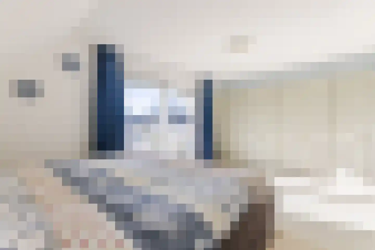 Lijster 10 Zuid-Scharwoude thumbnail 33
