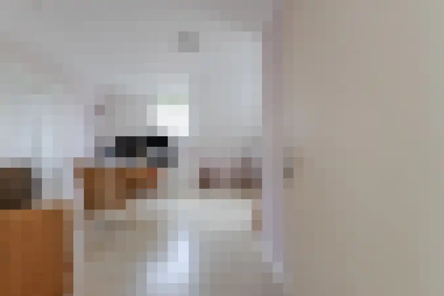 Lijster 10 Zuid-Scharwoude thumbnail 34