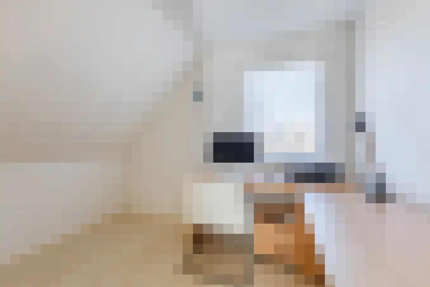 Lijster 10 Zuid-Scharwoude thumbnail 34