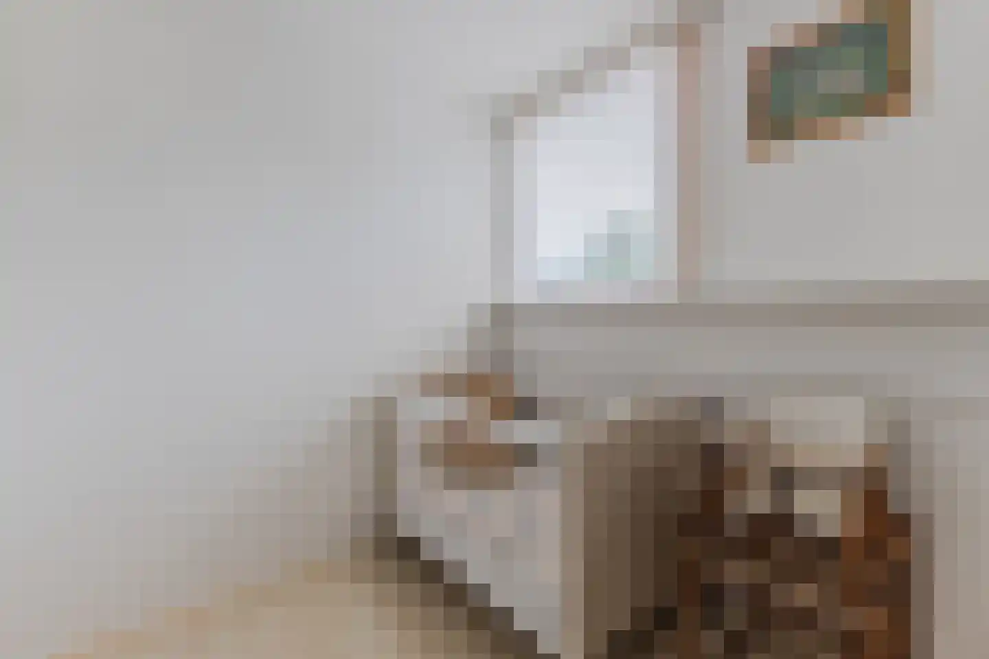 Lijster 10 Zuid-Scharwoude thumbnail 36