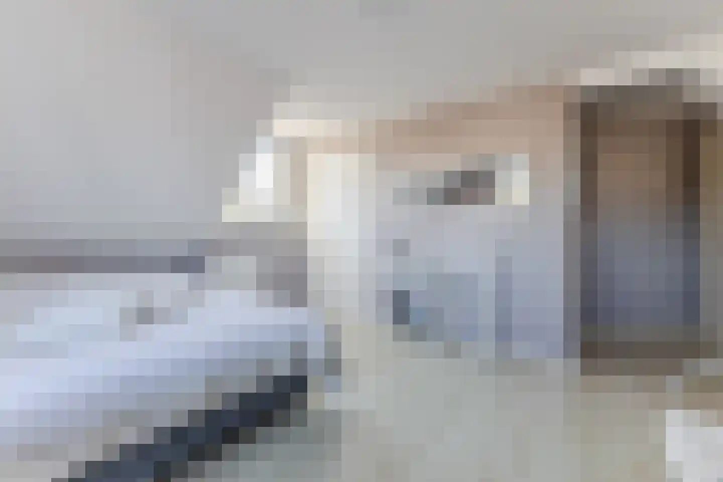 Lijster 10 Zuid-Scharwoude thumbnail 38