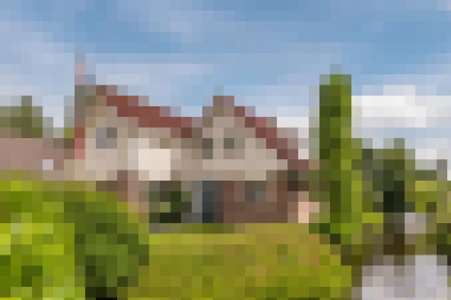 Lijster 10 Zuid-Scharwoude thumbnail 39