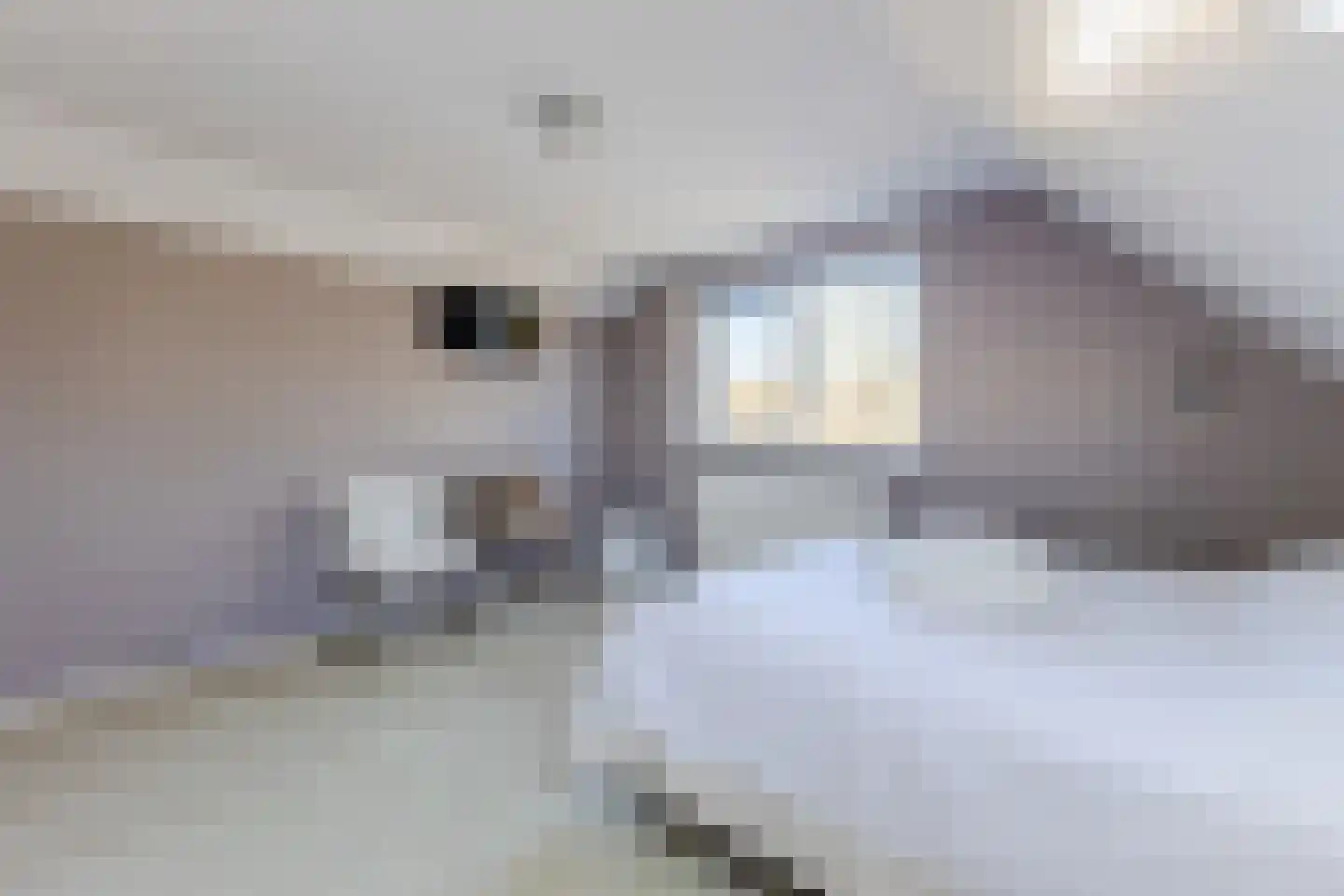 Lijster 10 Zuid-Scharwoude thumbnail 39