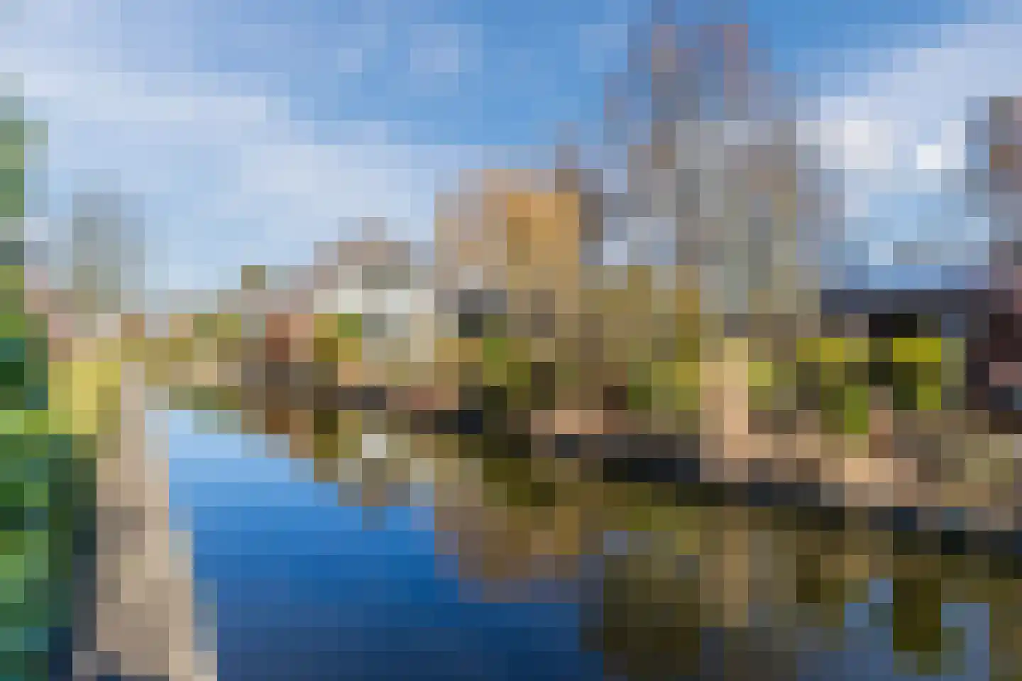 Lijster 10 Zuid-Scharwoude thumbnail 4