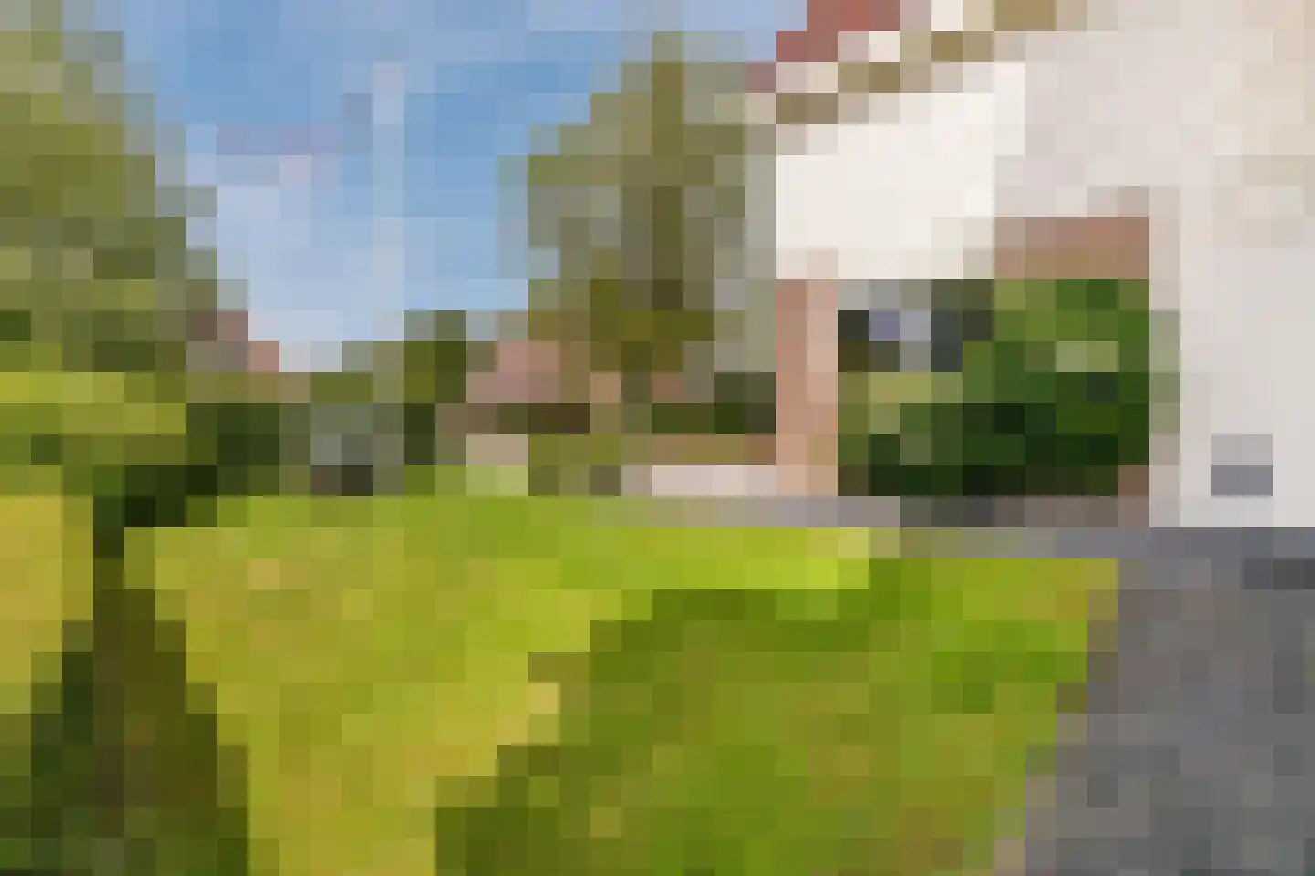 Lijster 10 Zuid-Scharwoude thumbnail 40