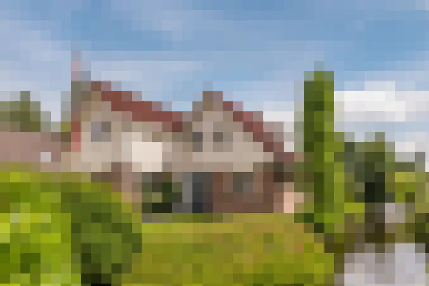 Lijster 10 Zuid-Scharwoude thumbnail 40
