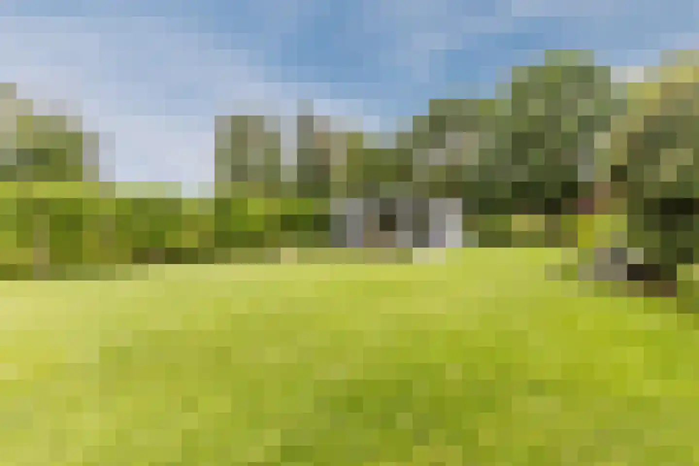 Lijster 10 Zuid-Scharwoude thumbnail 41