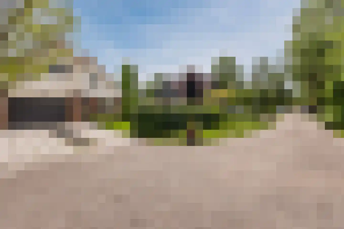 Lijster 10 Zuid-Scharwoude thumbnail 41