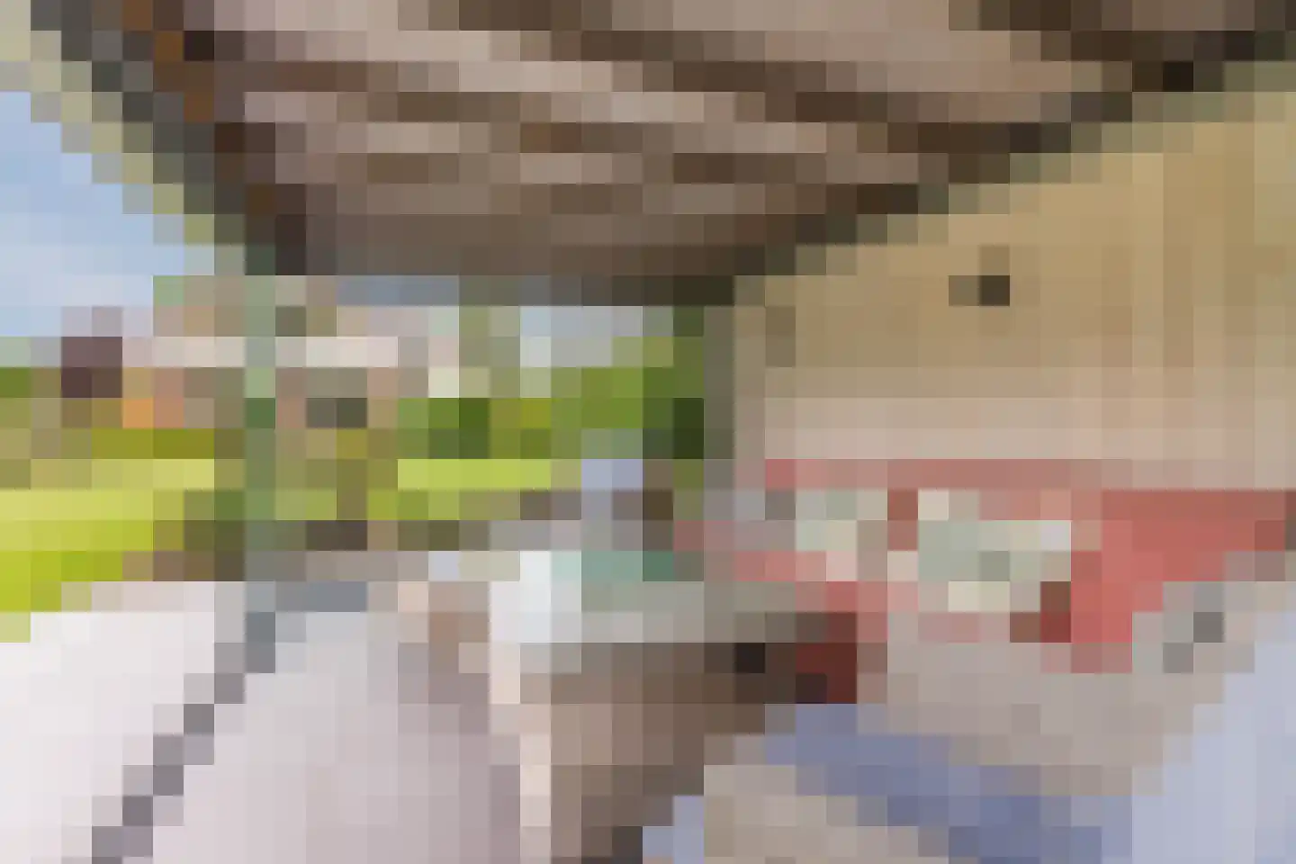 Lijster 10 Zuid-Scharwoude thumbnail 45