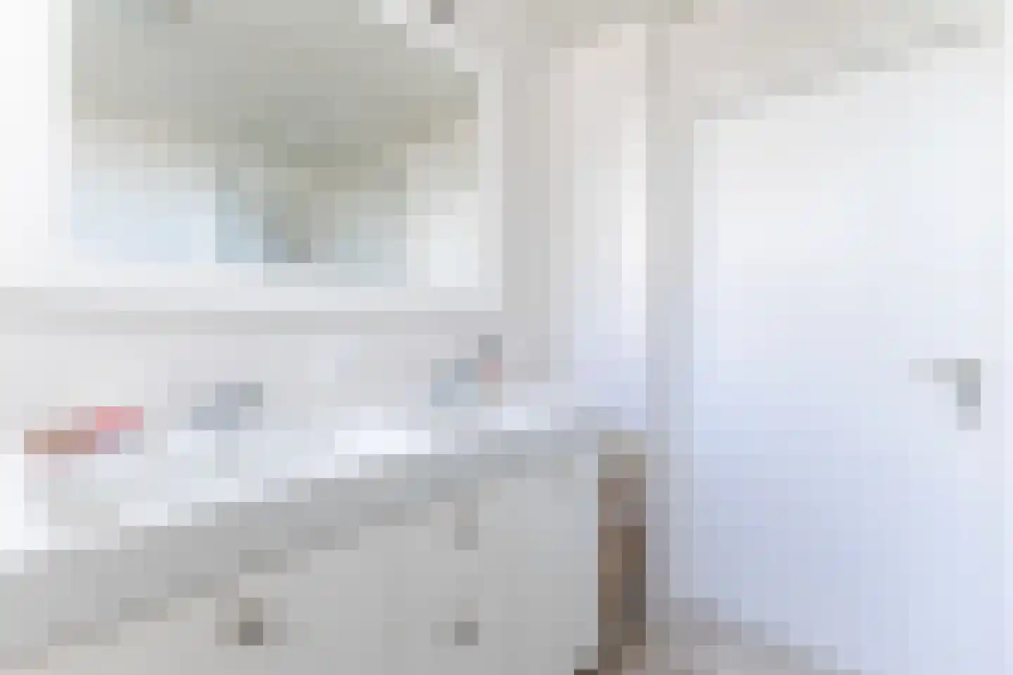 Lijster 10 Zuid-Scharwoude thumbnail 45