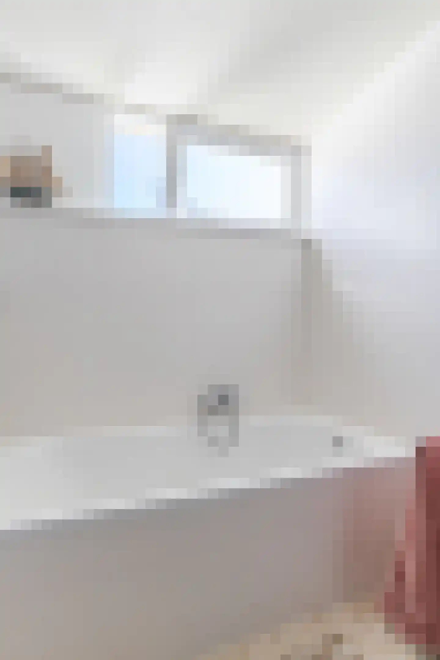Lijster 10 Zuid-Scharwoude thumbnail 46