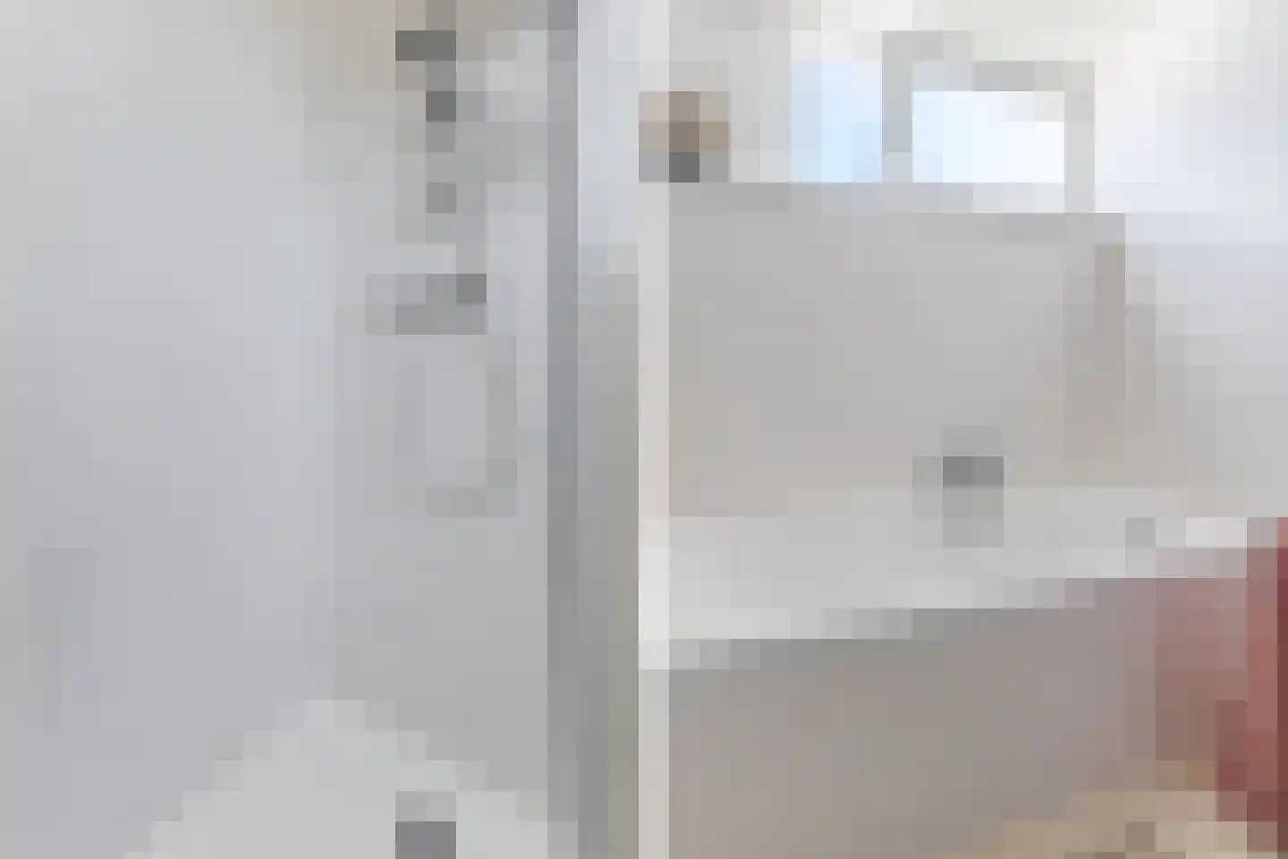 Lijster 10 Zuid-Scharwoude thumbnail 47