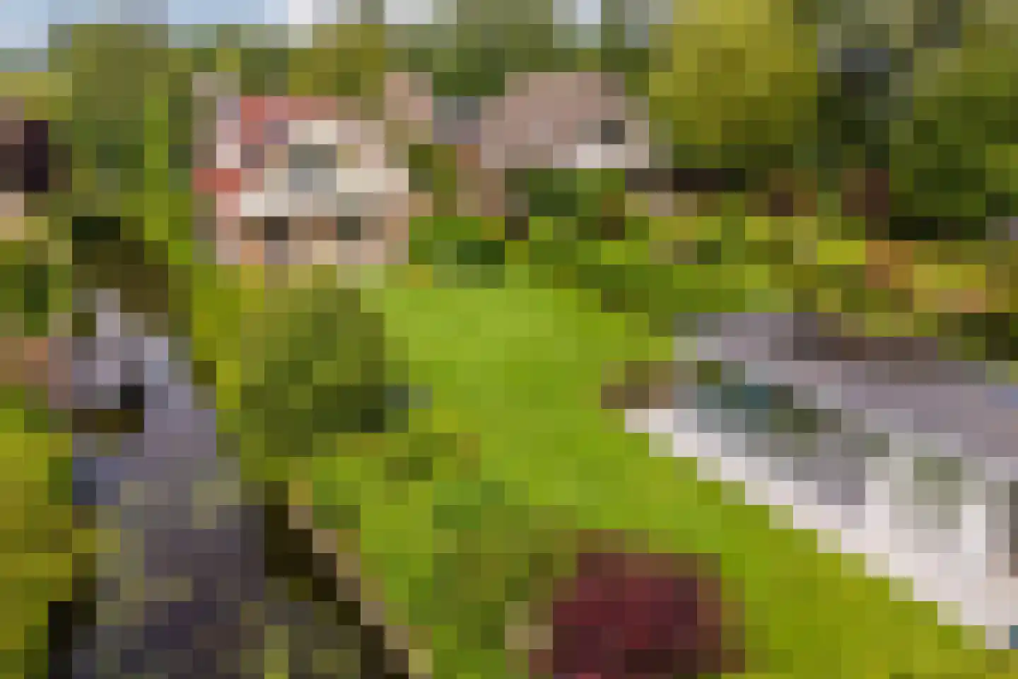 Lijster 10 Zuid-Scharwoude thumbnail 49
